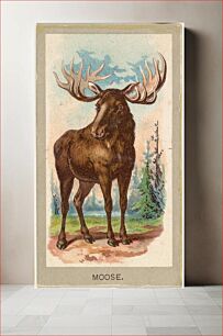 Πίνακας, Moose, from the Animals of the World series (T180), issued by Abdul Cigarettes