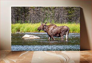 Πίνακας, Moose in a River Άλκες σε ένα ποτάμι
