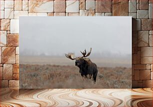 Πίνακας, Moose in Misty Field Άλκες στο Misty Field