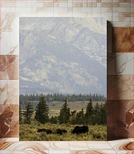 Πίνακας, Moose in Mountain Landscape Άλκες στο ορεινό τοπίο
