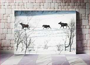 Πίνακας, Moose in Snowy Landscape Άλκες στο χιονισμένο τοπίο