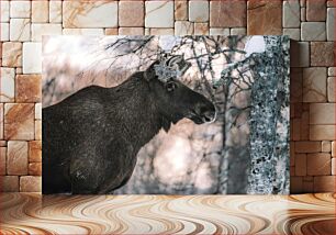 Πίνακας, Moose in Winter Forest Άλκες στο χειμερινό δάσος