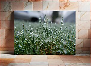 Πίνακας, Morning Dew on Grass Πρωινή δροσιά στο γρασίδι