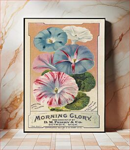 Πίνακας, Morning glory, from seeds put up by D. M. Ferry & Co., Detroit, Mich