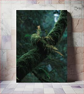 Πίνακας, Moss-covered Branch with Ferns Κλαδί καλυμμένο με βρύα με φτέρες