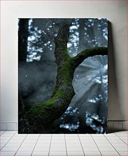 Πίνακας, Moss-Covered Tree in Foggy Forest Δέντρο καλυμμένο με βρύα σε ομιχλώδες δάσος