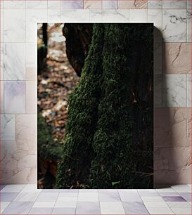 Πίνακας, Moss-Covered Tree Trunk Κορμός δέντρου καλυμμένος με βρύα