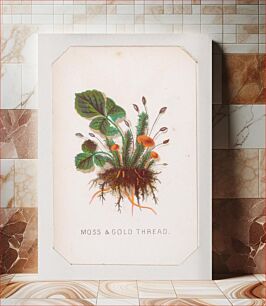 Πίνακας, Moss & Gold Thread card from the Plant with Root series