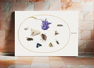 Πίνακας, Moth and Butterfly with other Insects and a Columbine Flower (1575–1580) by Joris Hoefnagel