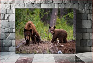 Πίνακας, Mother and Baby Bear in the Wilderness Μητέρα και μωρό αρκουδάκι στην ερημιά