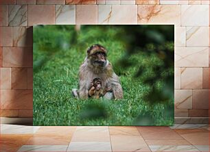 Πίνακας, Mother and Baby Monkey in the Wild Μητέρα και μωρό μαϊμού στην άγρια ​​φύση