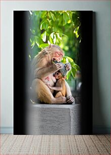 Πίνακας, Mother and Baby Monkeys Eating Μητέρα και μωρά μαϊμούδες που τρώνε