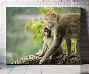 Πίνακας, Mother and Baby Monkeys on a Tree Μητέρα και μωρό μαϊμούδες σε ένα δέντρο