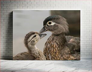 Πίνακας, Mother Duck and Duckling Μητέρα πάπια και παπάκι