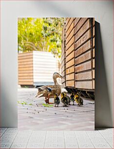 Πίνακας, Mother Duck with Ducklings Μητέρα πάπια με παπάκια