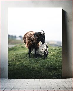 Πίνακας, Mother Goat and Kid in Pasture Μητέρα κατσίκα και κατσικάκι στο λιβάδι