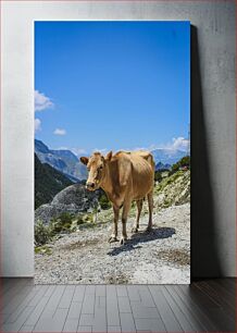 Πίνακας, Mountain Cow Mountain Cow