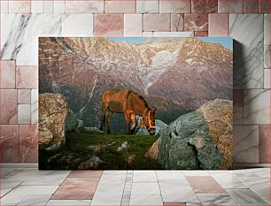 Πίνακας, Mountain Donkey Γάιδαρος του Βουνού