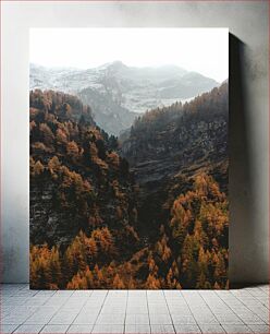 Πίνακας, Mountain Forest in Autumn Ορεινό Δάσος το Φθινόπωρο