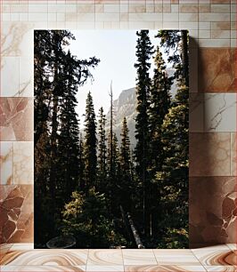 Πίνακας, Mountain Forest Ορεινό Δάσος