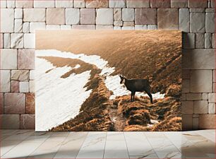 Πίνακας, Mountain Goat in Winter Landscape Ορεινή Κατσίκα στο Χειμερινό Τοπίο