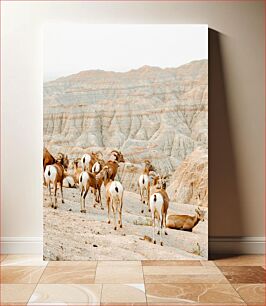 Πίνακας, Mountain Goats in Rugged Terrain Κατσίκες βουνών σε τραχύ έδαφος