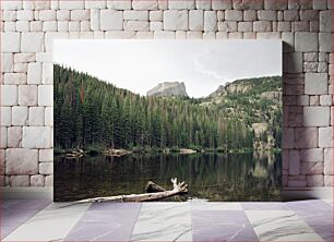 Πίνακας, Mountain Lake Reflection Αντανάκλαση της λίμνης του βουνού