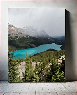 Πίνακας, Mountain Lake View Βουνό θέα στη λίμνη