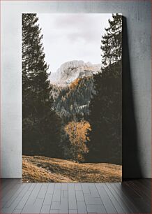 Πίνακας, Mountain Landscape with Trees in Autumn Ορεινό τοπίο με δέντρα το φθινόπωρο