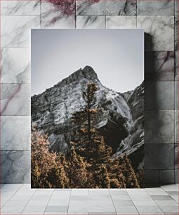 Πίνακας, Mountain Landscape with Trees Ορεινό τοπίο με δέντρα