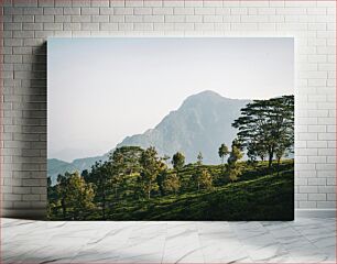 Πίνακας, Mountain Landscape with Trees Ορεινό τοπίο με δέντρα