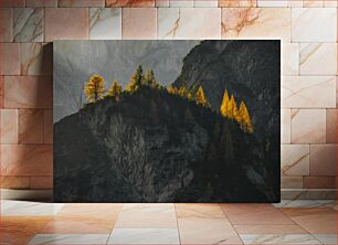 Πίνακας, Mountain Trees in Autumn Light Δέντρα του βουνού στο φως του φθινοπώρου