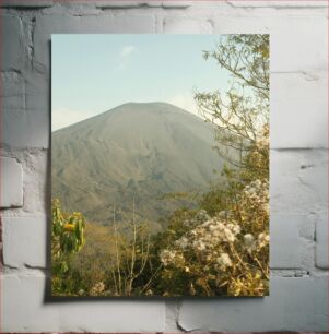 Πίνακας, Mountain with Vegetation Βουνό με βλάστηση