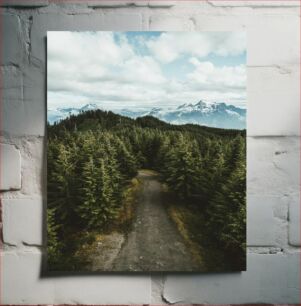 Πίνακας, Mountainous Forest Landscape Ορεινό Δασικό Τοπίο