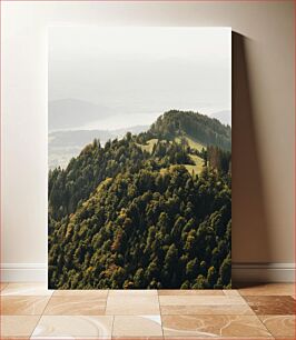 Πίνακας, Mountainous Landscape with Forest Ορεινό Τοπίο με Δάσος