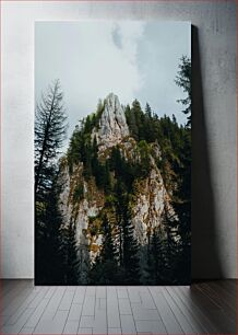 Πίνακας, Mountainous Landscape with Pine Trees Ορεινό τοπίο με πεύκα