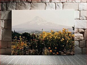 Πίνακας, Mountains and Wildflowers Βουνά και αγριολούλουδα