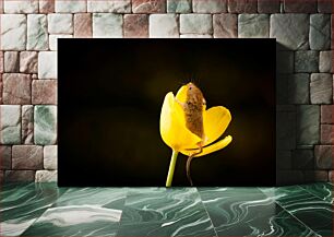 Πίνακας, Mouse in a Yellow Flower Ποντίκι σε ένα κίτρινο λουλούδι