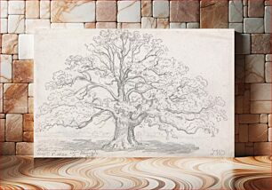 Πίνακας, Mr. Howard's Large Oak, August 5, 1820