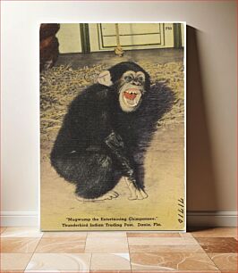 Πίνακας, "Mugwump the entertaining chimpanzee," Thunderbird Indian Trading Post, Dania, Florida