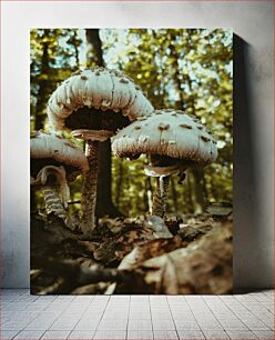 Πίνακας, Mushrooms in the Forest Μανιτάρια στο Δάσος