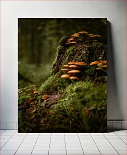 Πίνακας, Mushrooms on a Mossy Stump Μανιτάρια σε ένα ποώδη κούτσουρο