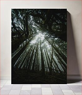 Πίνακας, Mystical Forest Μυστικό Δάσος