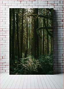Πίνακας, Mystical Forest Μυστικό Δάσος
