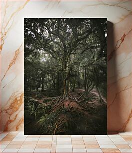Πίνακας, Mystical Forest Scene Μυστική Σκηνή Δάσους