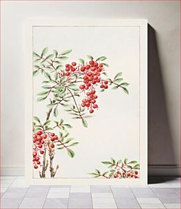 Πίνακας, Nandina bush with berries during 1870–1880 by Megata Morikaga