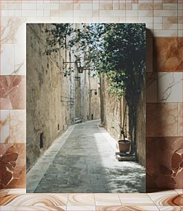 Πίνακας, Narrow Stone Alleyway Στενό Πέτρινο Σοκάκι