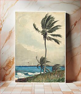 Πίνακας, Nassau by Winslow Homer