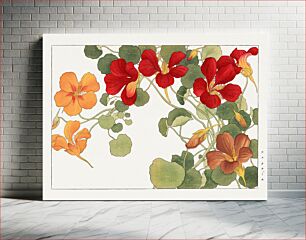 Πίνακας, Nasturtium flower, Japanese woodblock art