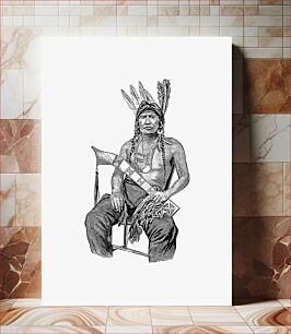 Πίνακας, Native American man from The History of Benton County, Iowa published by Western Historical Co. (1878)